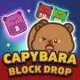 Capybara Block Drop is a colorful puzzle game with a cute Capybara theme. Your mission is to drop numbered blocks into columns, match matching numbers and create big combos to control the board.

